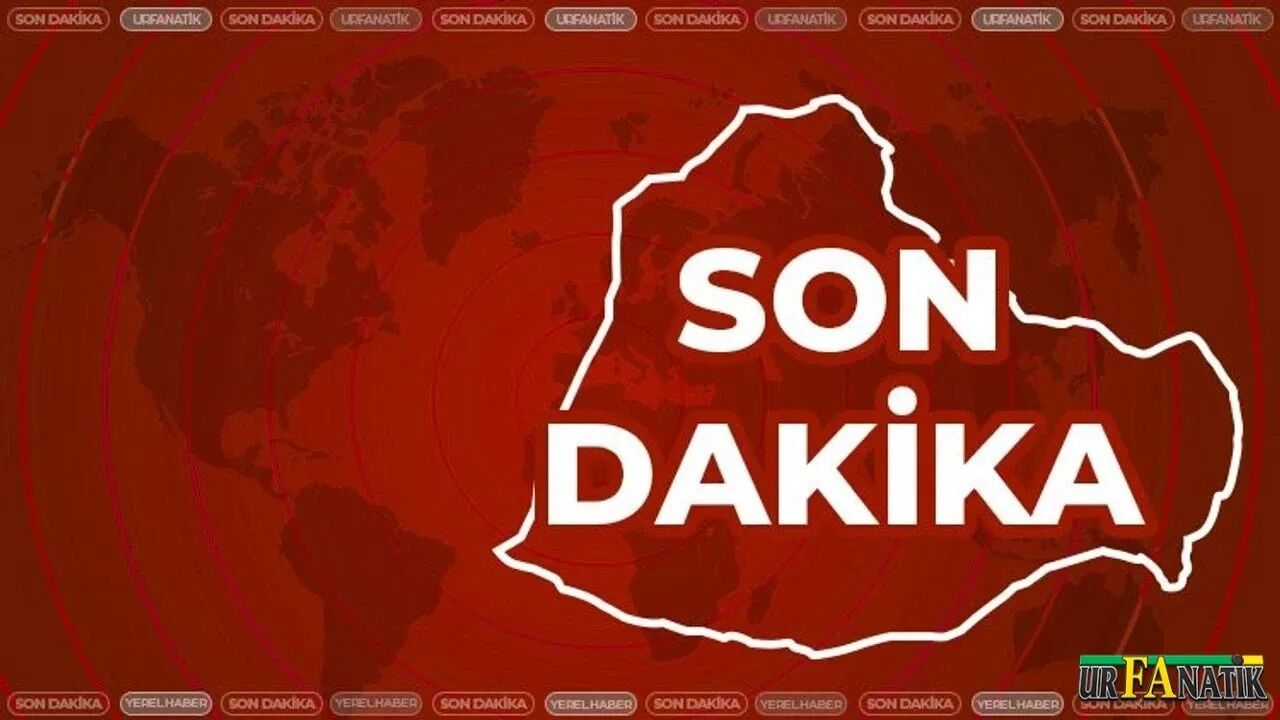 news-1784642222