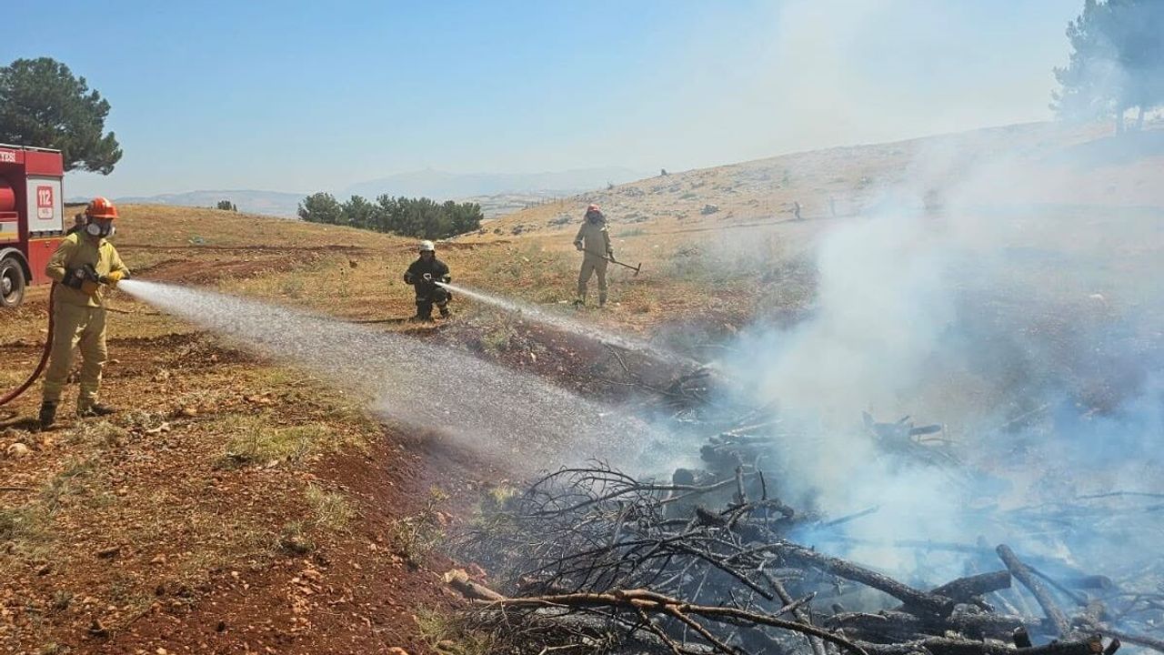 news-1784975540