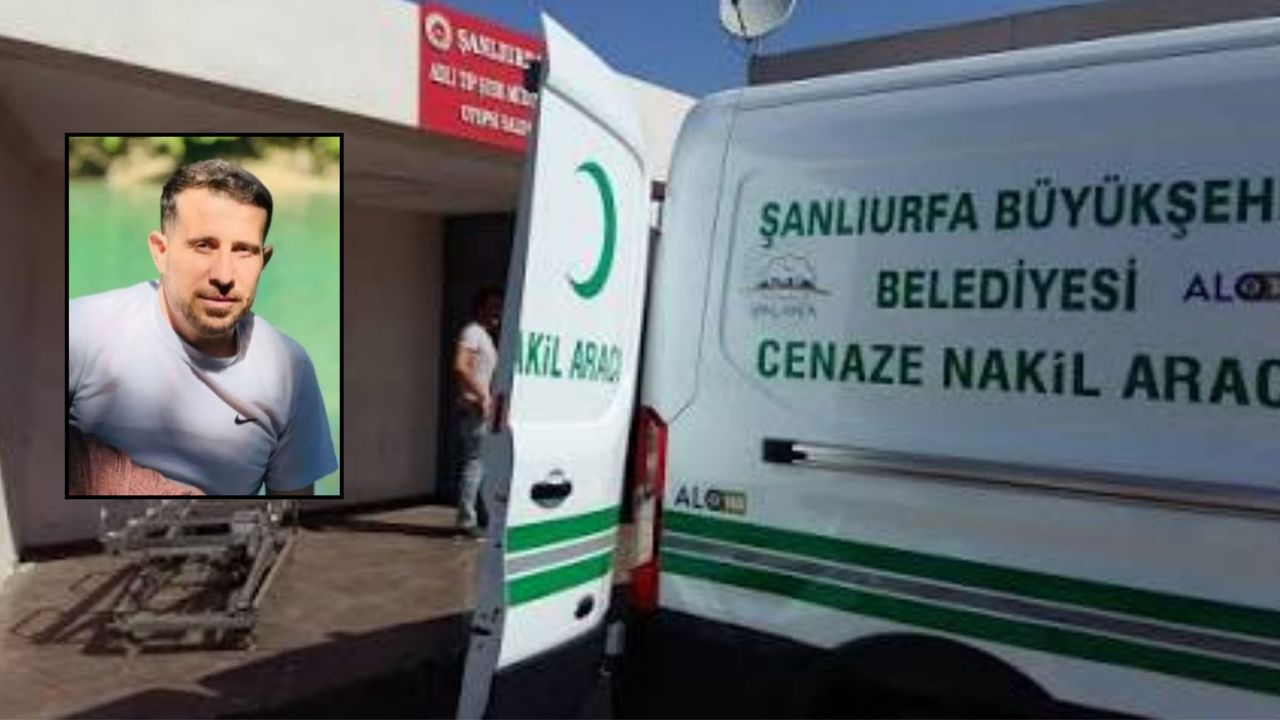 news-1786325116