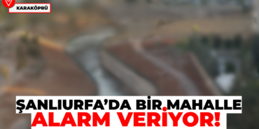 news-1790064063
