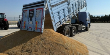 news-1790580080