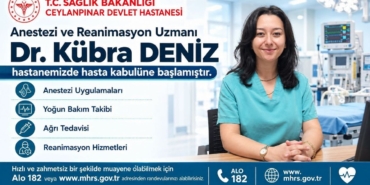 news-1790855462