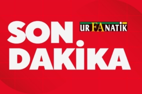 news-1791025203