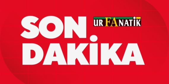 news-1791121802