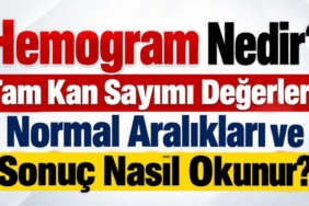 news-1791207242