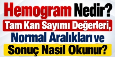 news-1791207242
